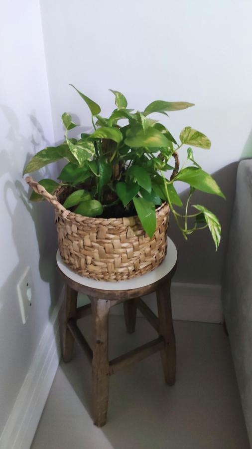 Apartament Pinda X Campos X Aparecida Pindamonhangaba Zewnętrze zdjęcie